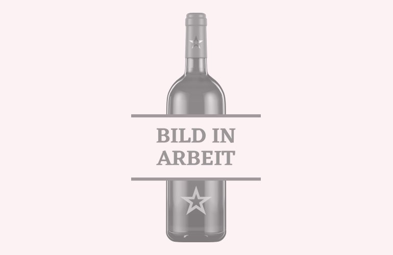 APS Boston Shaker Silber 2-teilig mit Glas